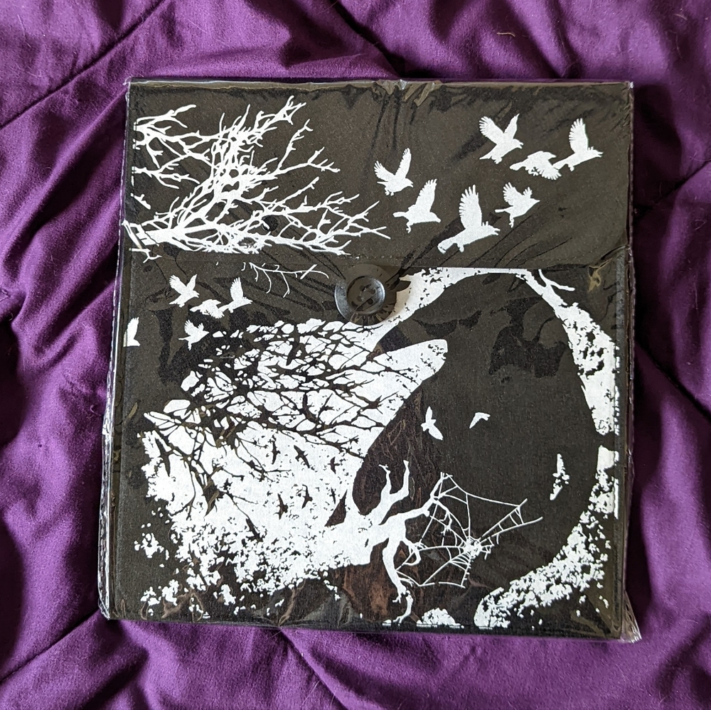 "The Raven" by Edgar Allen Poe themed pouch